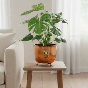 VTG 1950s‎ Peerage Copper Planter Brass Lion Head Feet Jardiniere Wine Bucket